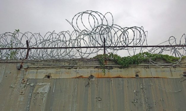 Junnila: Terroristiryhmään kuuluminen rangaistavaksi – elinkumppanit tuomiolle osallisuudesta