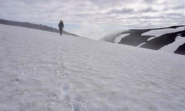 Perussuomalaisten puoluekokous ja puheenjohtajavaalit