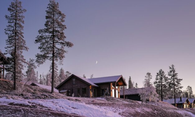 Hallitus lopettaa tuetut lomat, lomailuyhdistykset järkyttyivät – Junnila: Puolueiden lomatoiminnan tukeminen ei ole veronmaksajan tehtävä